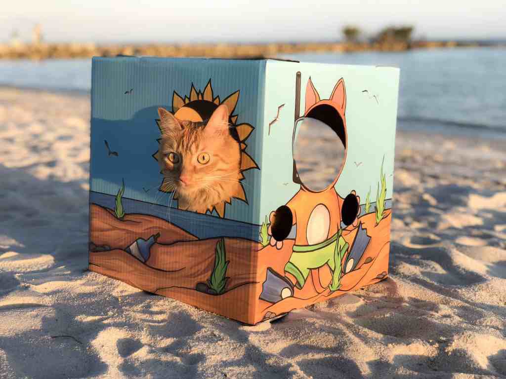 Purr-fect cat vacation house